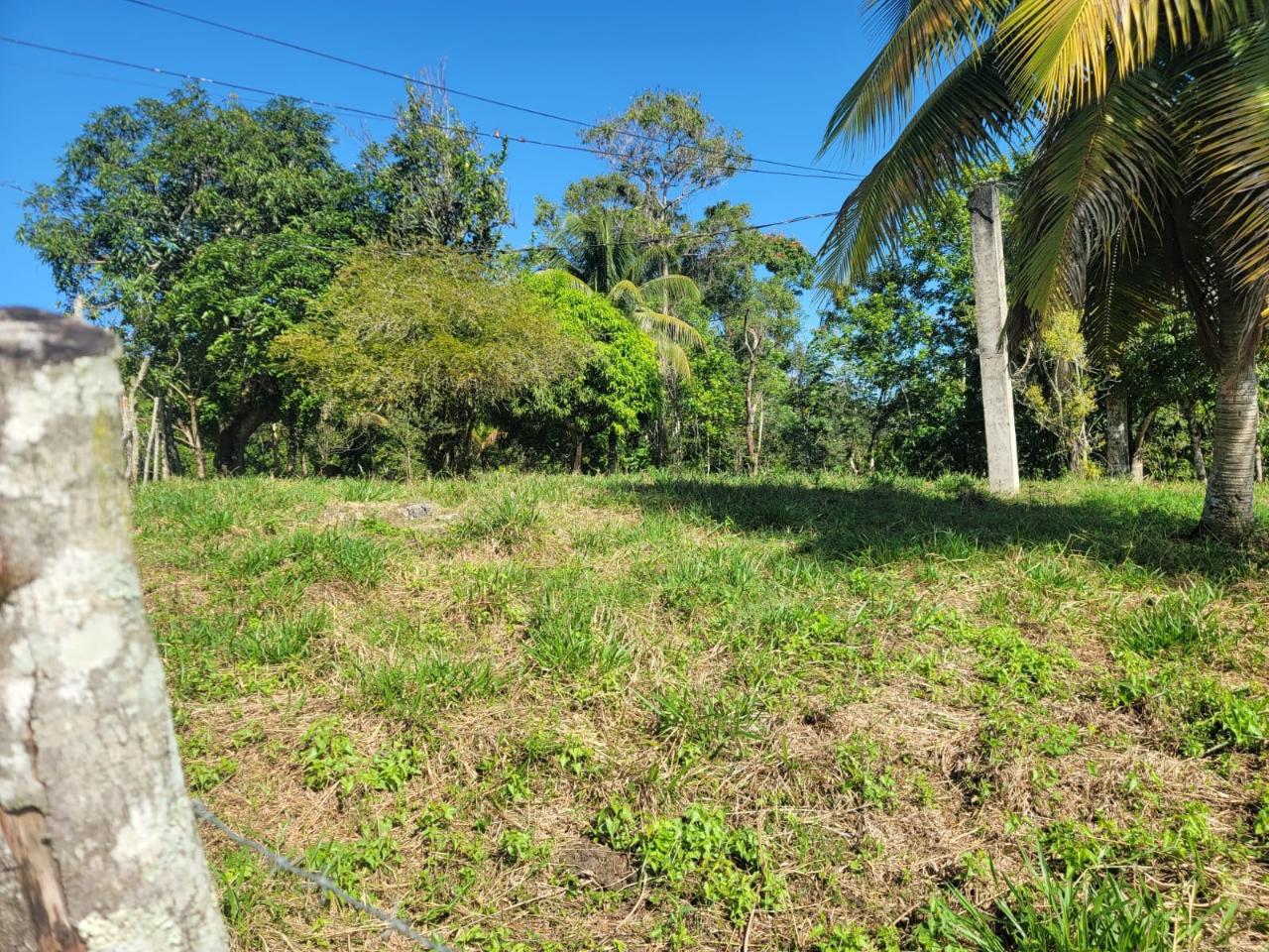 Fourth image of Bethel Town, Westmoreland in Barneyside, Westmoreland, Jamaica - property is For Sale