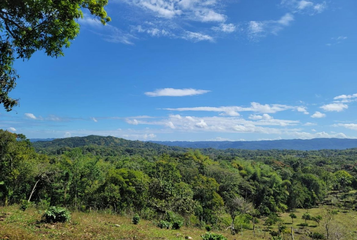 Fifth image of Bethel Town, Westmoreland in Barneyside, Westmoreland, Jamaica - property is For Sale