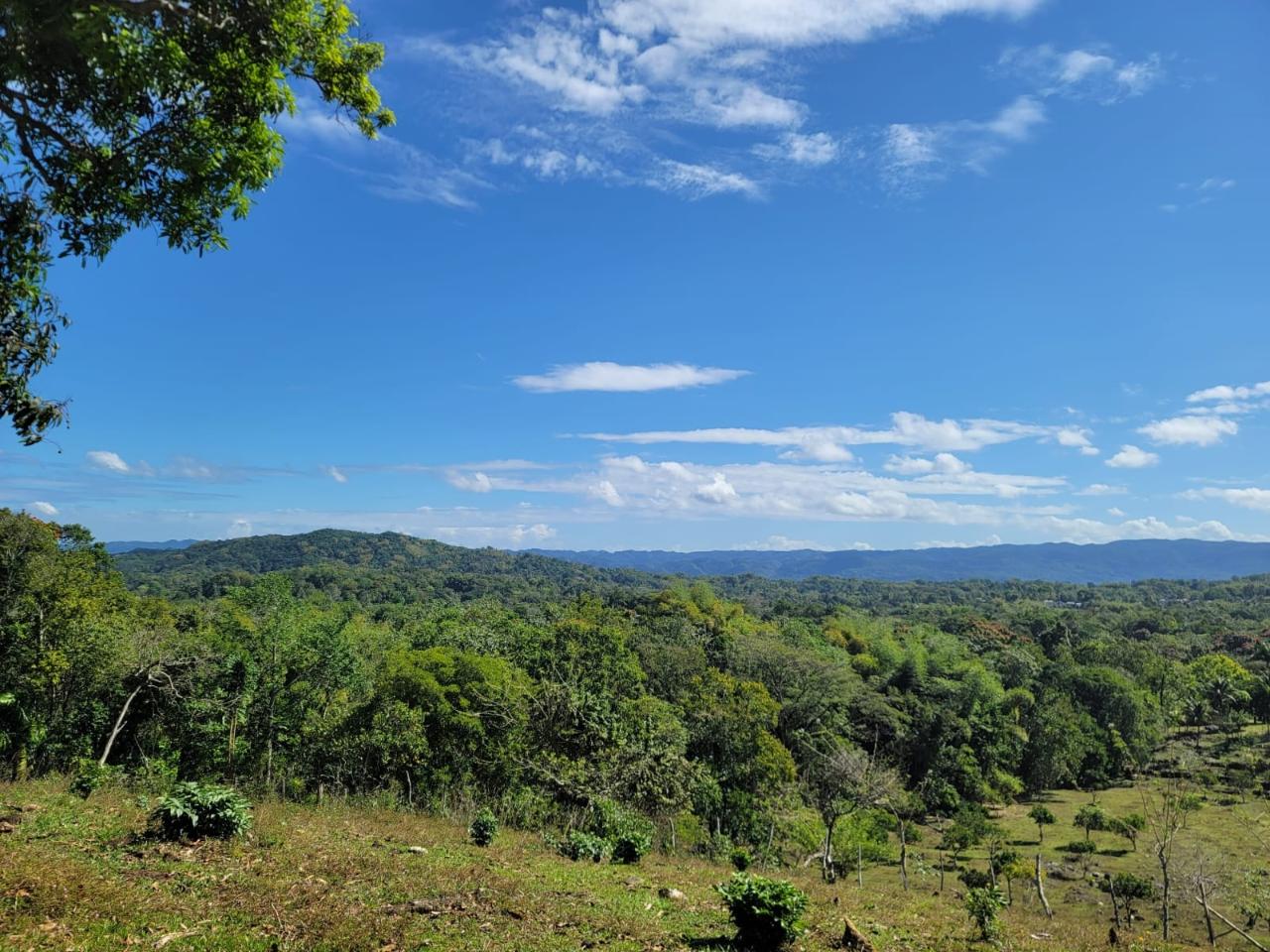 Fifth image of Bethel Town, Westmoreland in Barneyside, Westmoreland, Jamaica - property is For Sale