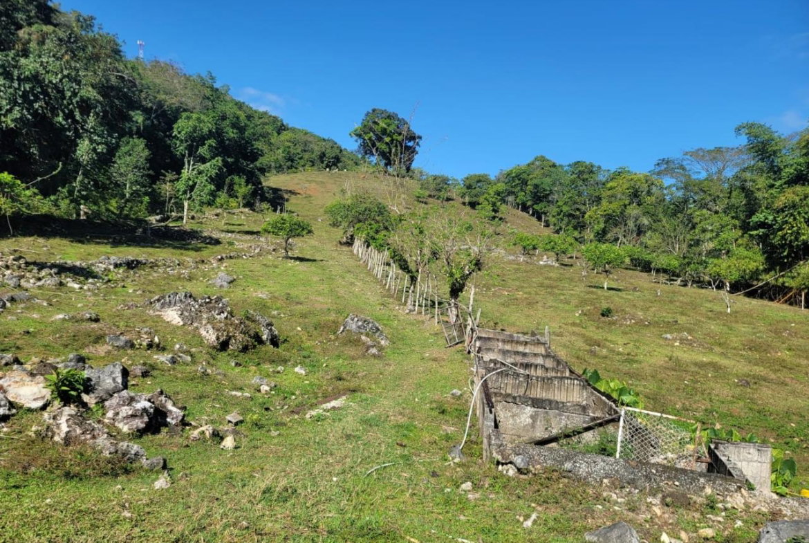 Sixth image of Bethel Town, Westmoreland in Barneyside, Westmoreland, Jamaica - property is For Sale