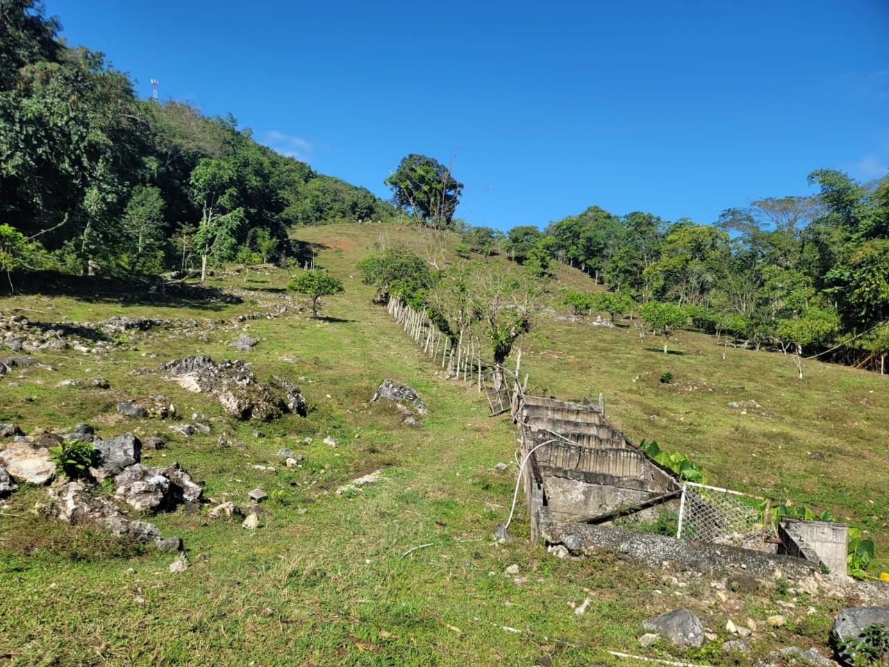 Sixth image of Bethel Town, Westmoreland in Barneyside, Westmoreland, Jamaica - property is For Sale