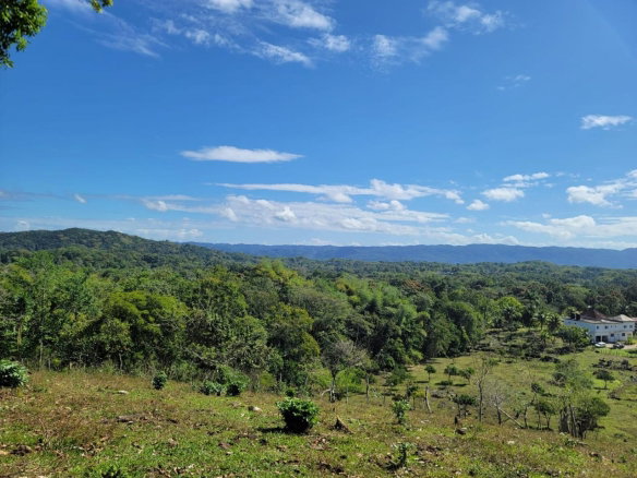 First image of Bethel Town, Westmoreland in Barneyside, Westmoreland, Jamaica - property is For Sale