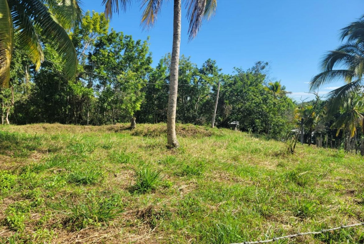Seventh image of Bethel Town, Westmoreland in Barneyside, Westmoreland, Jamaica - property is For Sale