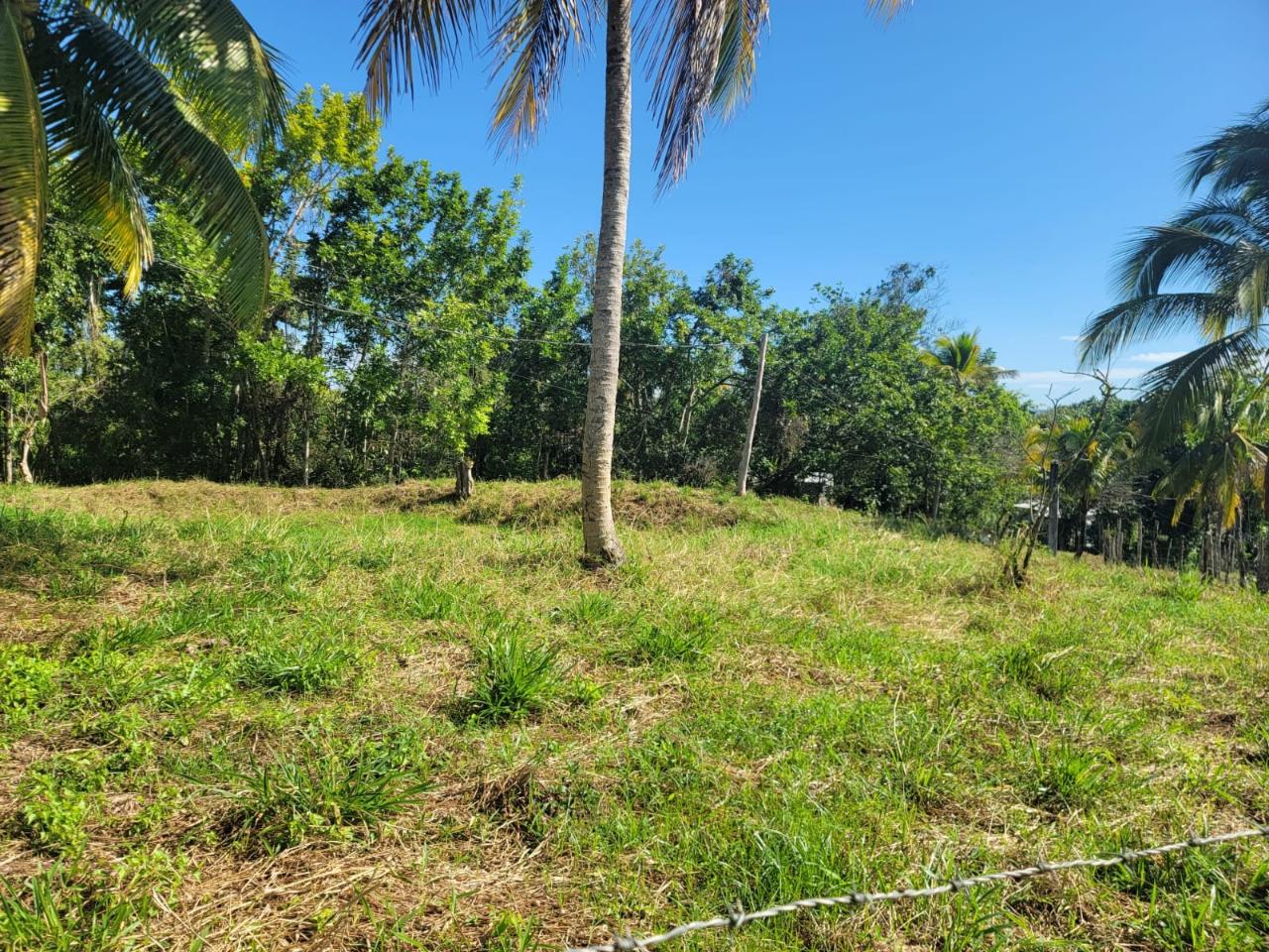Seventh image of Bethel Town, Westmoreland in Barneyside, Westmoreland, Jamaica - property is For Sale