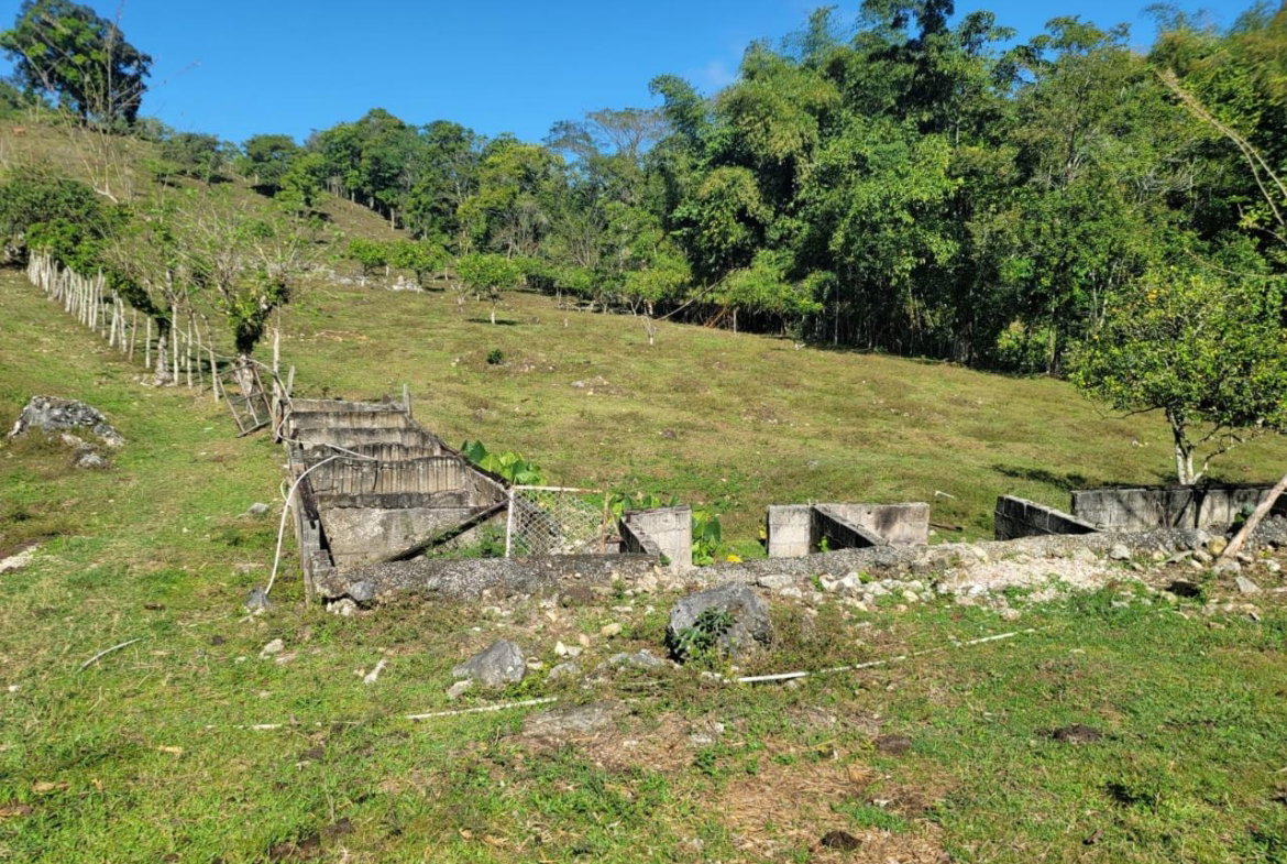 Eighth image of Bethel Town, Westmoreland in Barneyside, Westmoreland, Jamaica - property is For Sale