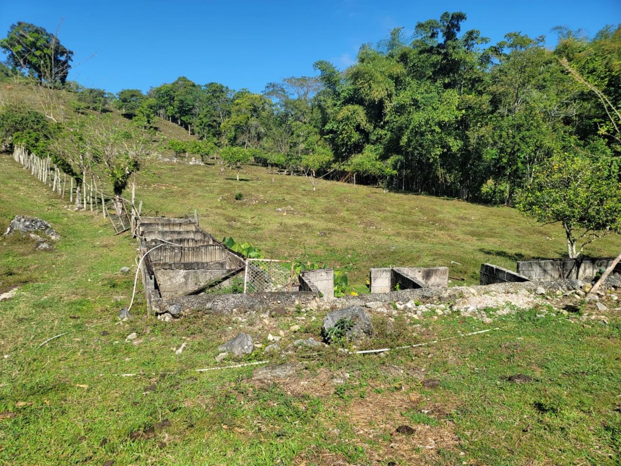 Eighth image of Bethel Town, Westmoreland in Barneyside, Westmoreland, Jamaica - property is For Sale