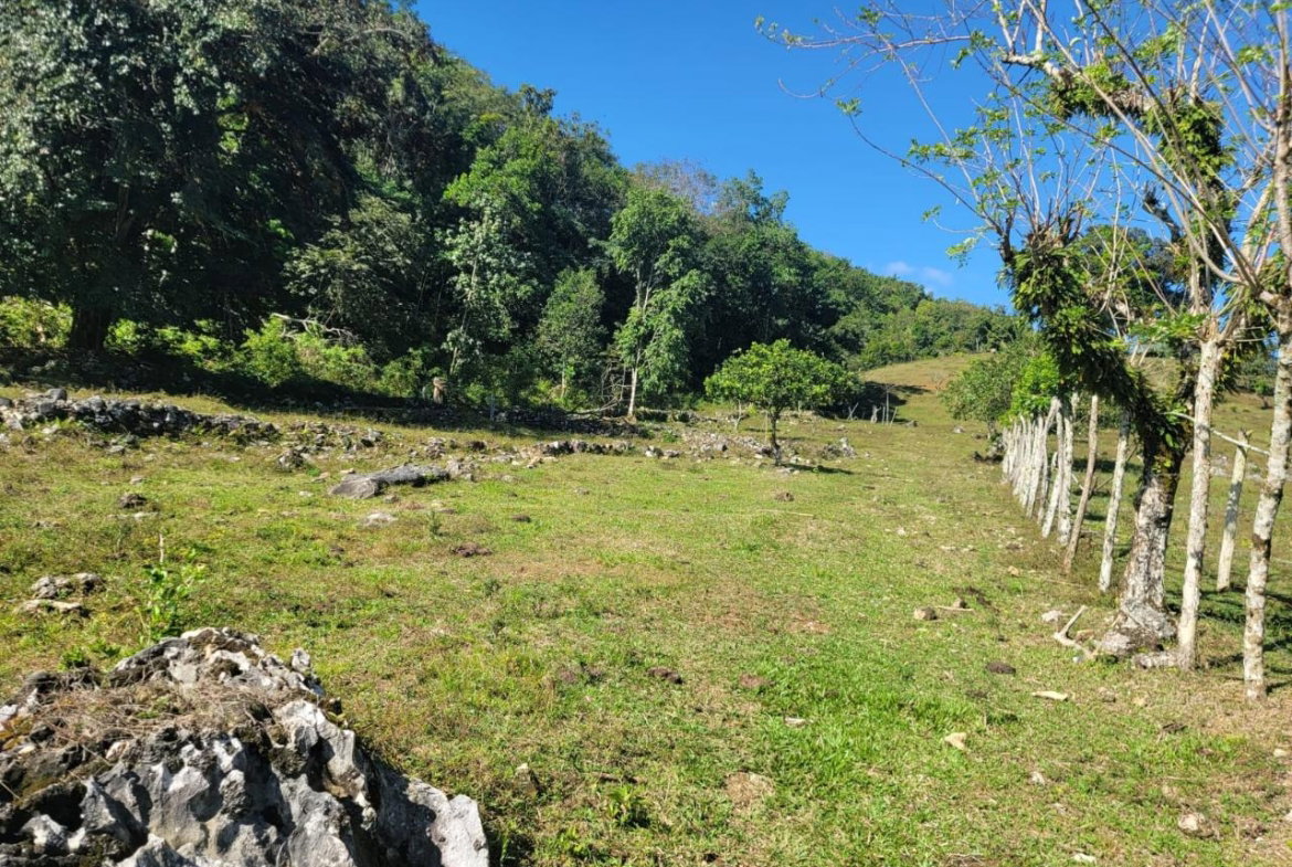 Ninth image of Bethel Town, Westmoreland in Barneyside, Westmoreland, Jamaica - property is For Sale