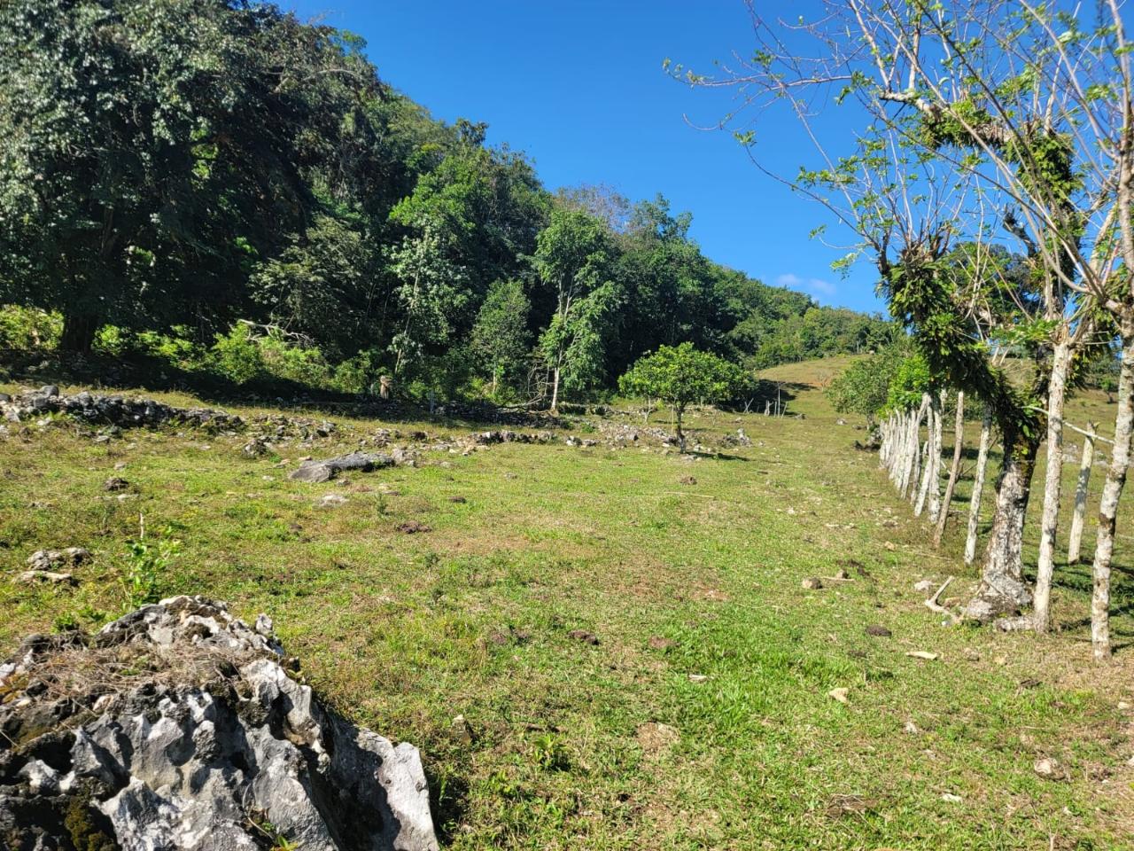 Ninth image of Bethel Town, Westmoreland in Barneyside, Westmoreland, Jamaica - property is For Sale