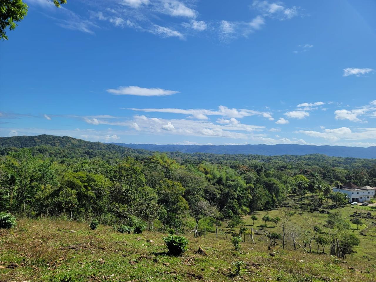 First image of Bethel Town, Westmoreland in Barneyside, Westmoreland, Jamaica - property is For Sale