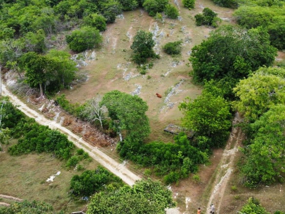 First image of 185-187- Content, St. James in Content Estate, St. James, Jamaica - property is For Sale