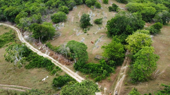 First image of 185-187- Content, St. James in Content Estate, St. James, Jamaica - property is For Sale