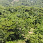 First image of Retirement in Discovery Bay, St. Ann, Jamaica - property is For Sale