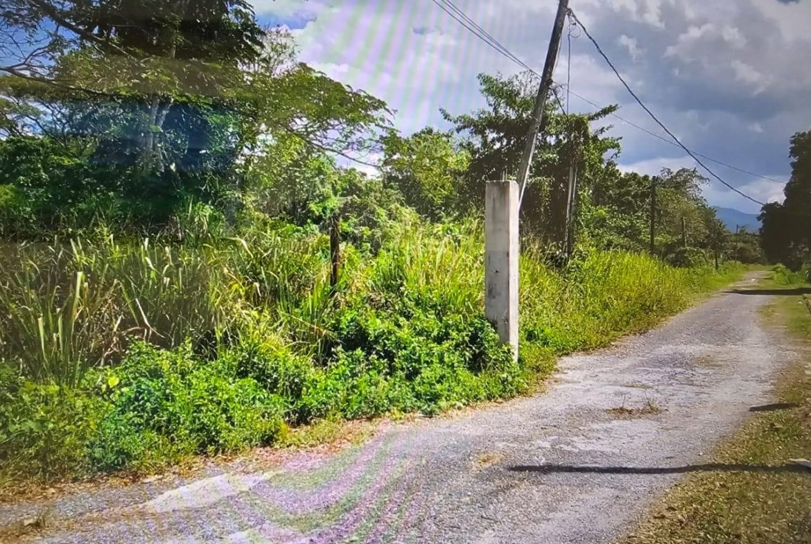 Third image of 48 Amity to Savanna la Mar in SAVANNA LA MAR, Westmoreland, Jamaica - property is For Sale