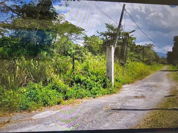 Third image of 48 Amity to Savanna la Mar in SAVANNA LA MAR, Westmoreland, Jamaica - property is For Sale