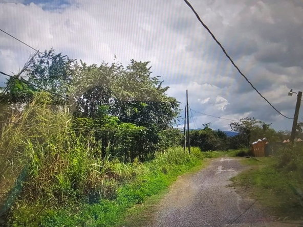 Fifth image of 48 Amity to Savanna la Mar in SAVANNA LA MAR, Westmoreland, Jamaica - property is For Sale