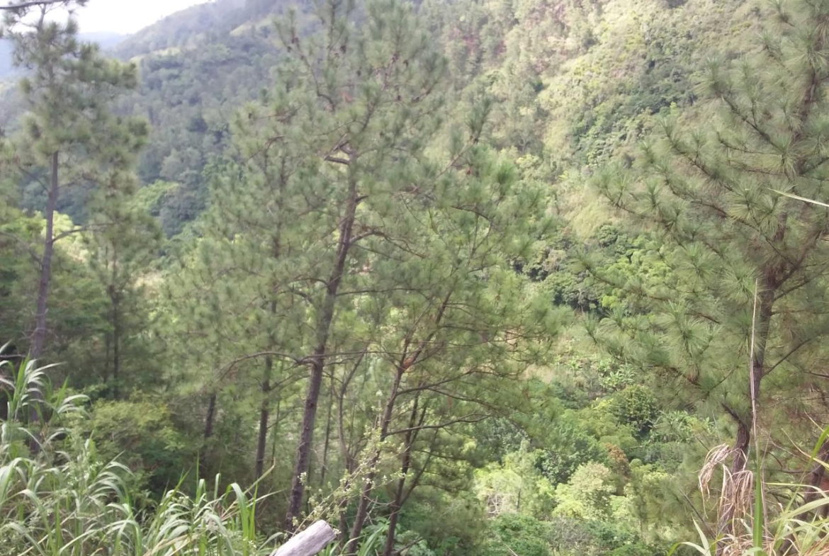 Second image of Guava Ridge Road St. Andr in Mavis Bank, St. Andrew, Jamaica - property is For Sale
