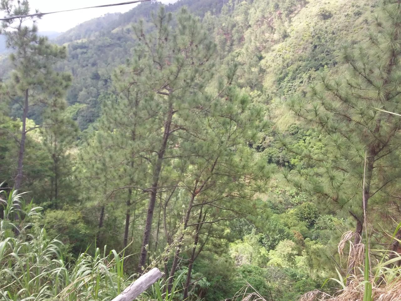 Second image of Guava Ridge Road St. Andr in Mavis Bank, St. Andrew, Jamaica - property is For Sale