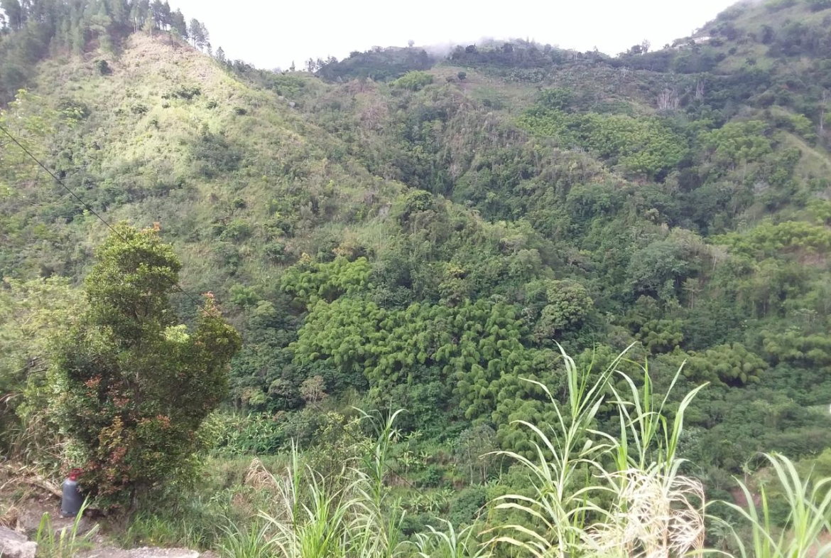First image of Guava Ridge Road St. Andr in Mavis Bank, St. Andrew, Jamaica - property is For Sale