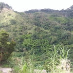 First image of Guava Ridge Road St. Andr in Mavis Bank, St. Andrew, Jamaica - property is For Sale