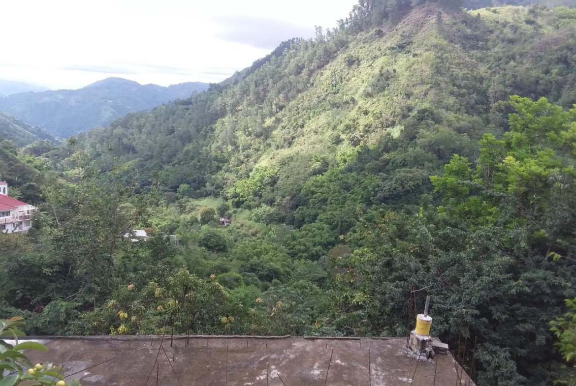 Third image of Guava Ridge Road St. Andr in Mavis Bank, St. Andrew, Jamaica - property is For Sale