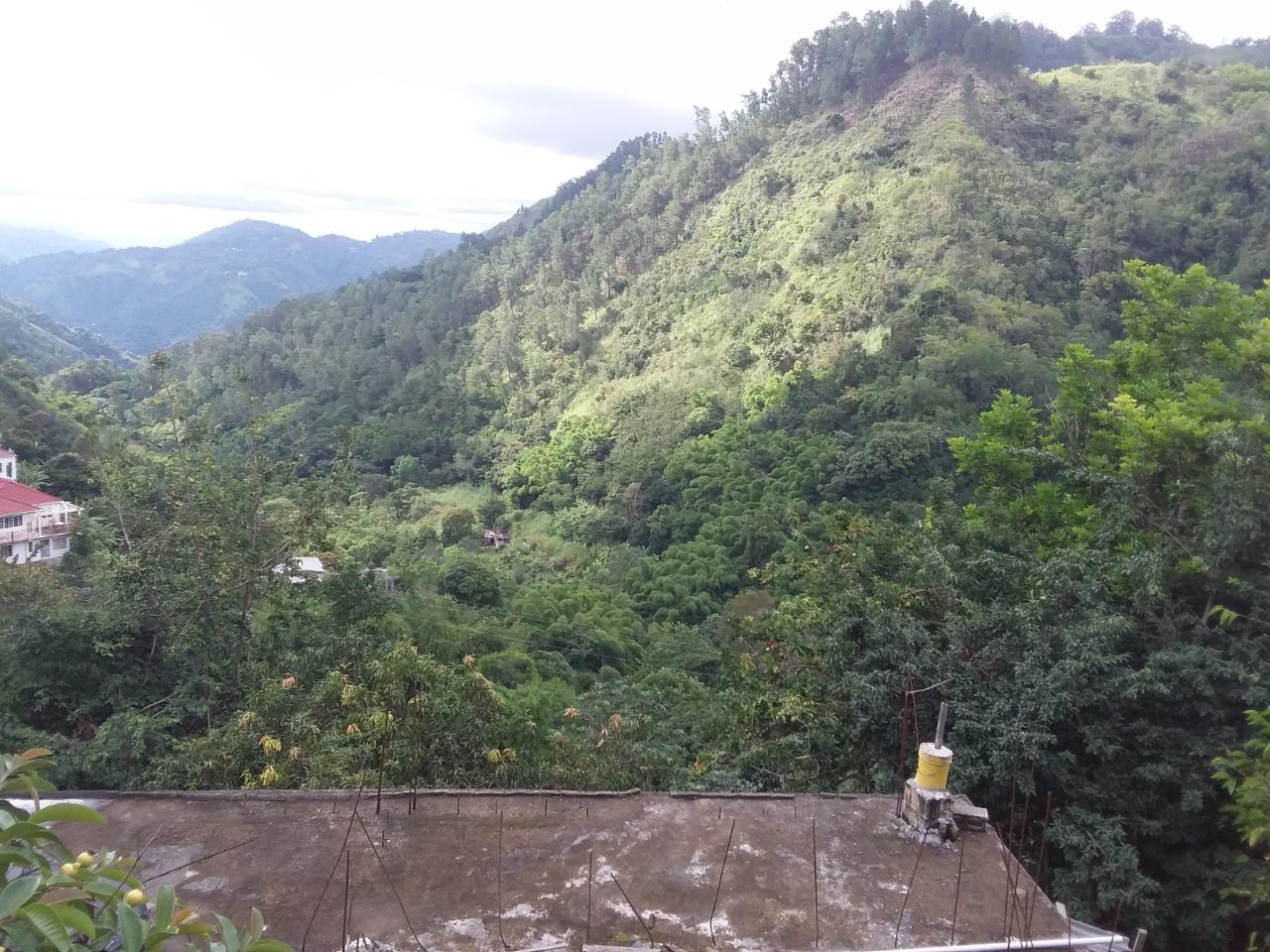 Third image of Guava Ridge Road St. Andr in Mavis Bank, St. Andrew, Jamaica - property is For Sale