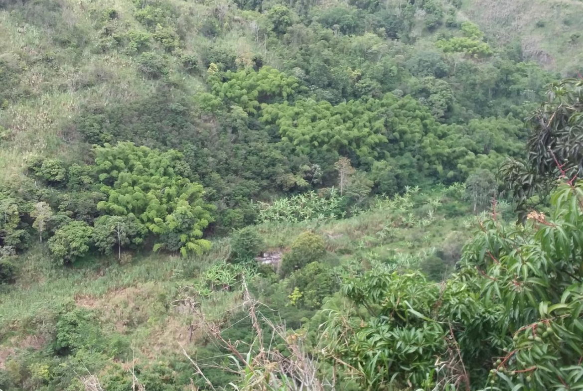 Fourth image of Guava Ridge Road St. Andr in Mavis Bank, St. Andrew, Jamaica - property is For Sale