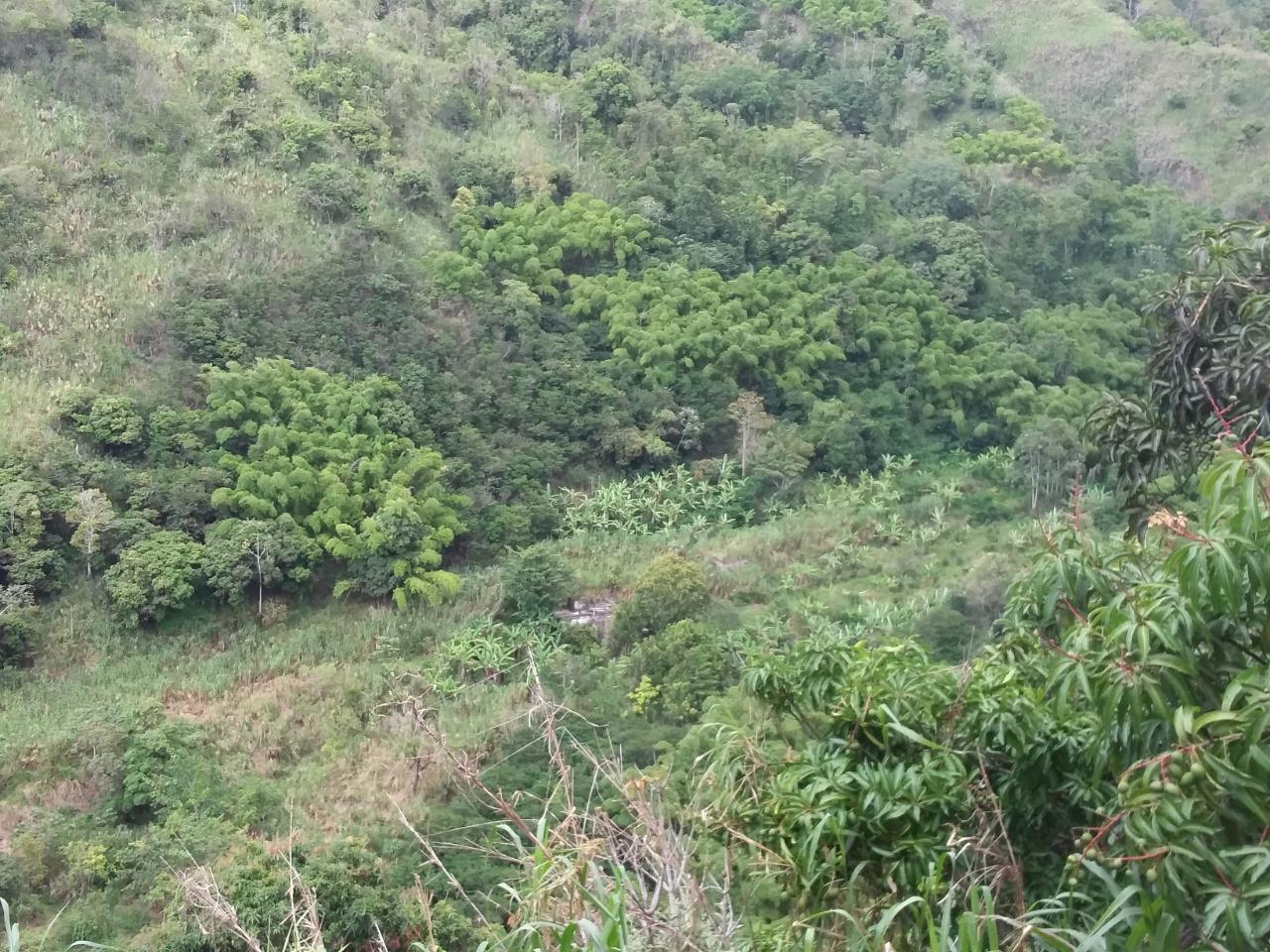Fourth image of Guava Ridge Road St. Andr in Mavis Bank, St. Andrew, Jamaica - property is For Sale