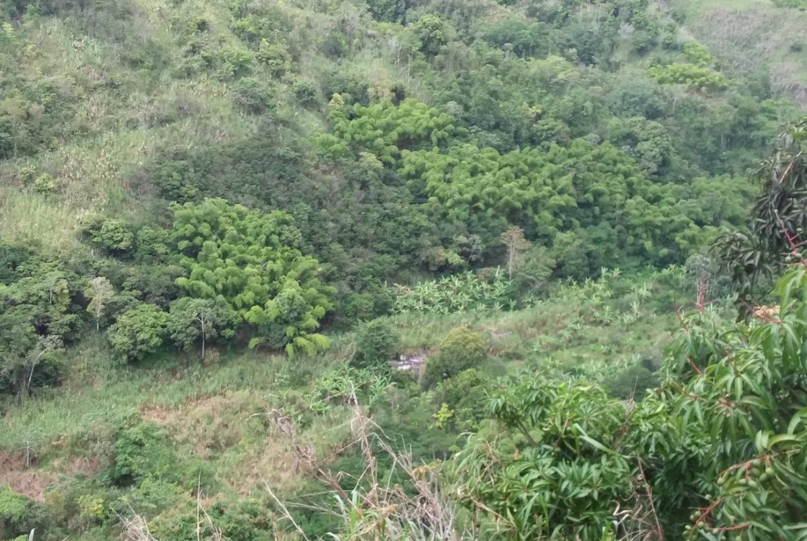 Fifth image of Guava Ridge Road St. Andr in Mavis Bank, St. Andrew, Jamaica - property is For Sale