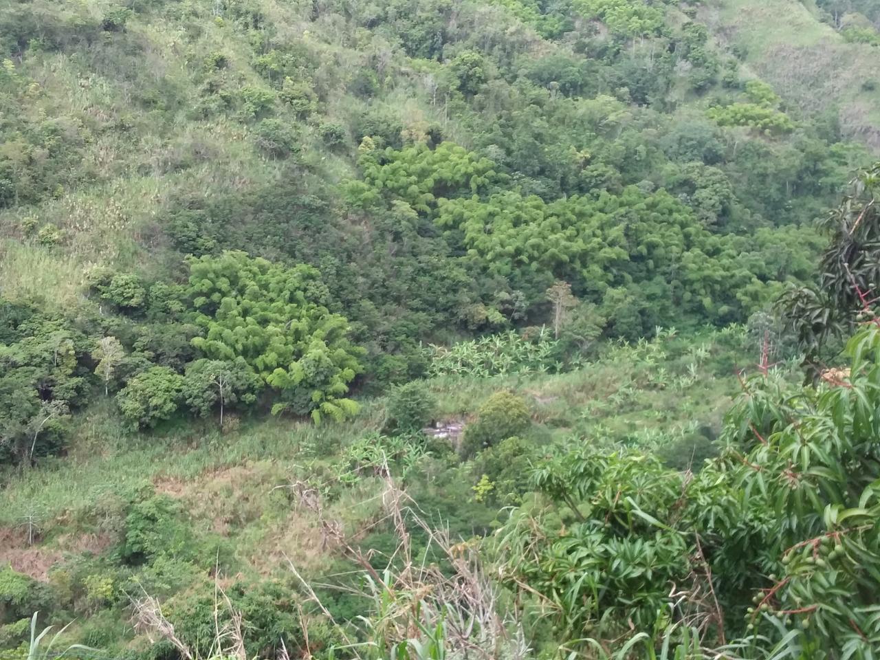 Fifth image of Guava Ridge Road St. Andr in Mavis Bank, St. Andrew, Jamaica - property is For Sale