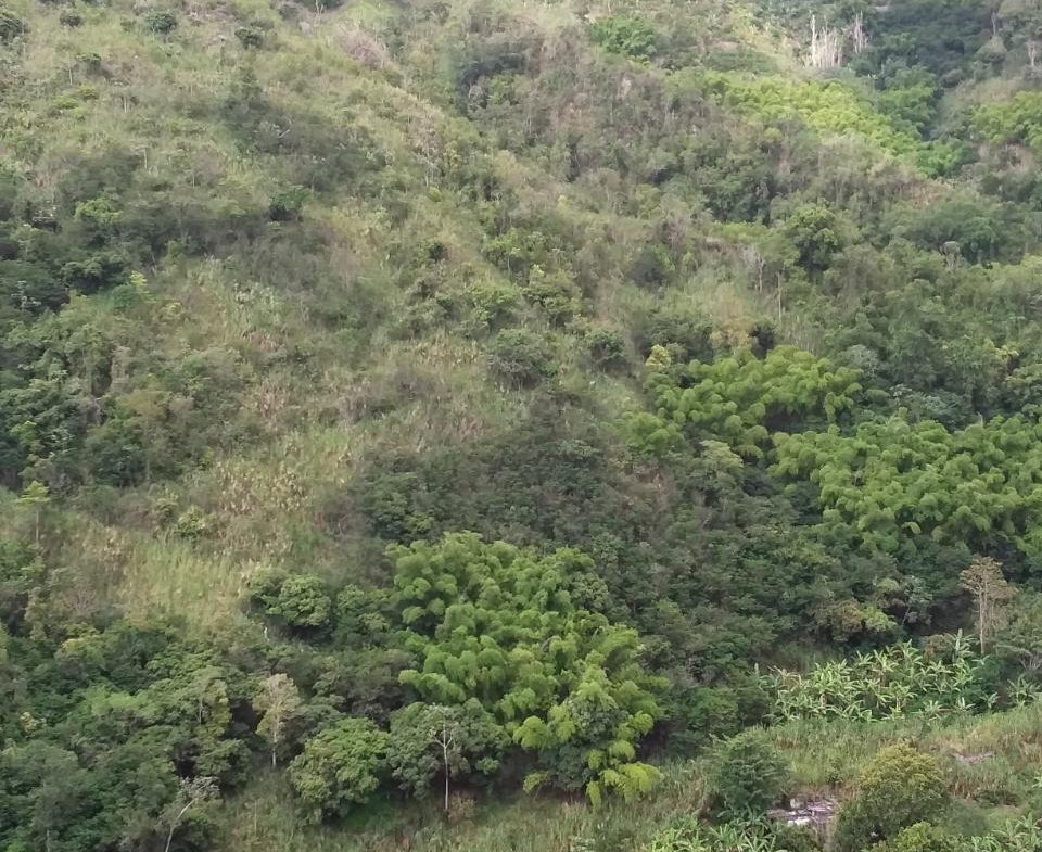 Sixth image of Guava Ridge Road St. Andr in Mavis Bank, St. Andrew, Jamaica - property is For Sale