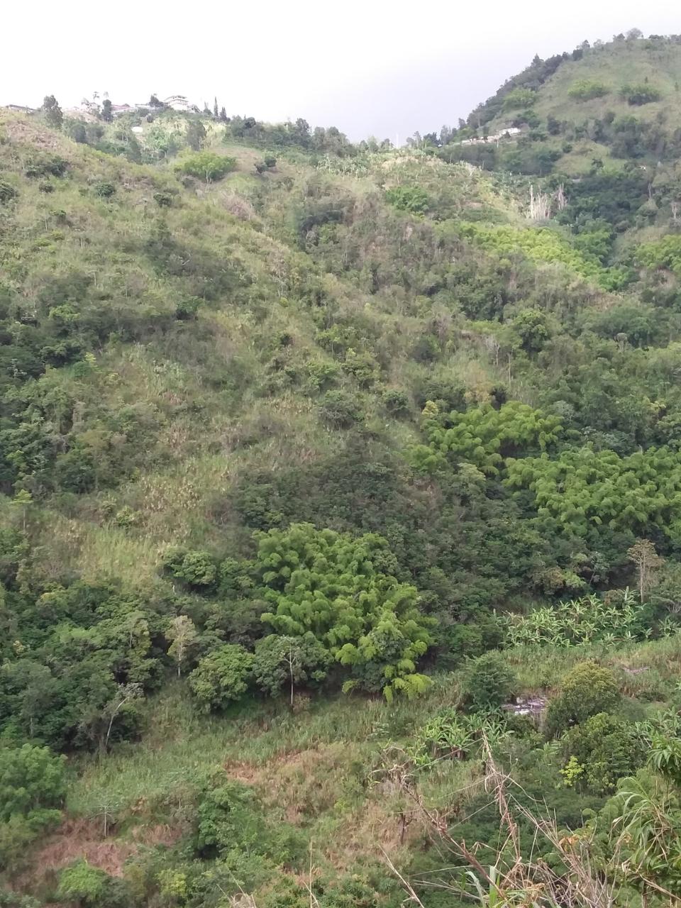 Sixth image of Guava Ridge Road St. Andr in Mavis Bank, St. Andrew, Jamaica - property is For Sale