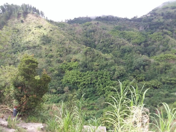 First image of Guava Ridge Road St. Andr in Mavis Bank, St. Andrew, Jamaica - property is For Sale