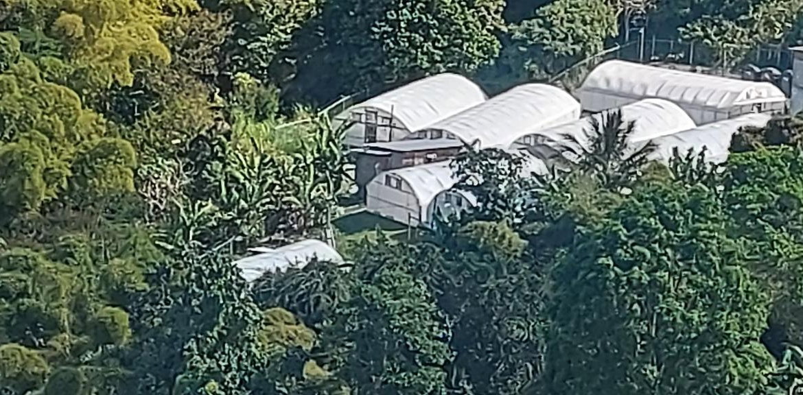 Seventh image of Guava Ridge Road St. Andr in Mavis Bank, St. Andrew, Jamaica - property is For Sale