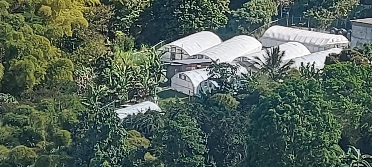 Seventh image of Guava Ridge Road St. Andr in Mavis Bank, St. Andrew, Jamaica - property is For Sale
