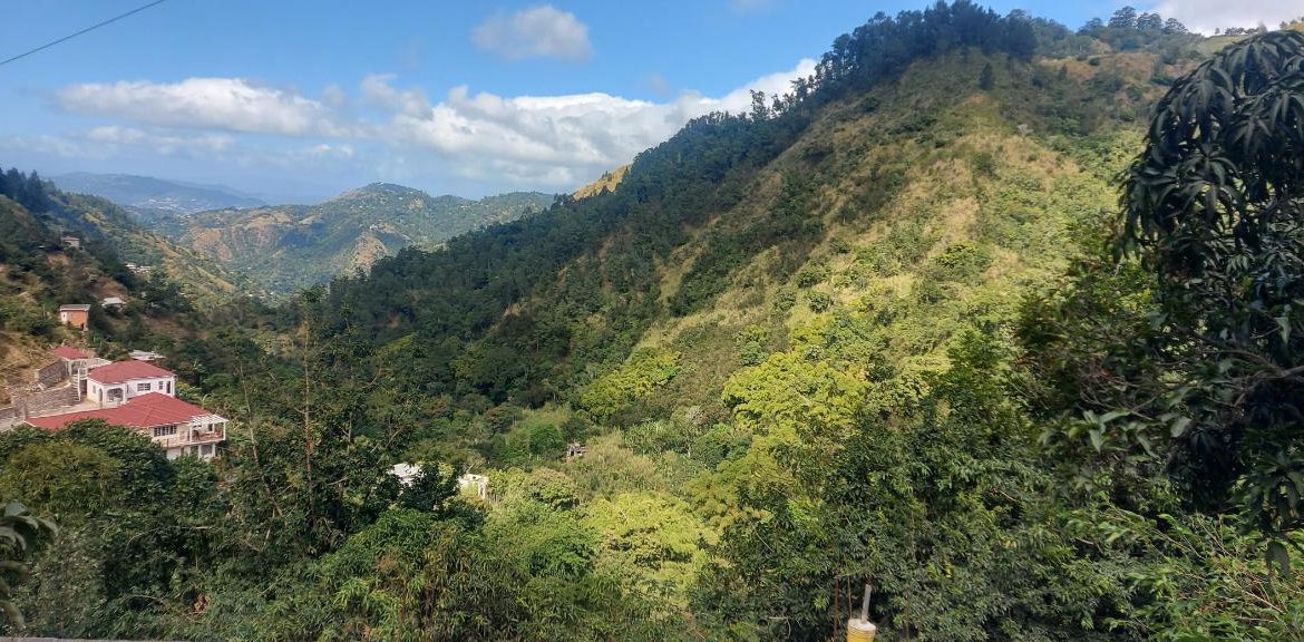Eighth image of Guava Ridge Road St. Andr in Mavis Bank, St. Andrew, Jamaica - property is For Sale