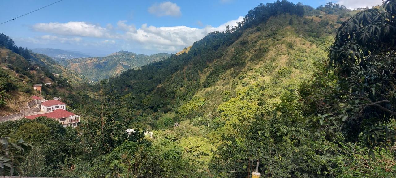Eighth image of Guava Ridge Road St. Andr in Mavis Bank, St. Andrew, Jamaica - property is For Sale