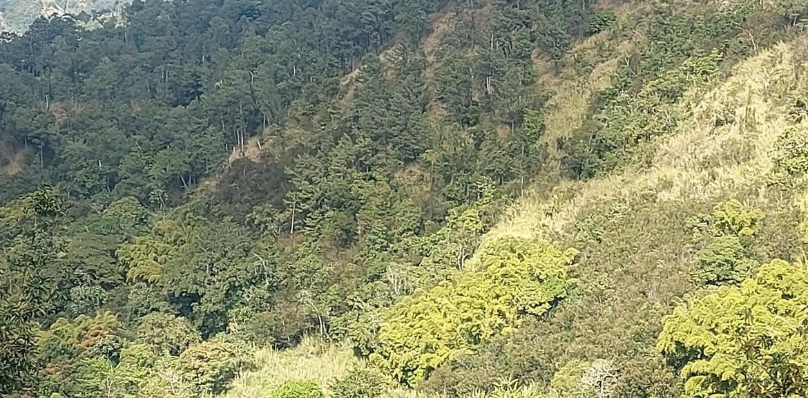 Ninth image of Guava Ridge Road St. Andr in Mavis Bank, St. Andrew, Jamaica - property is For Sale