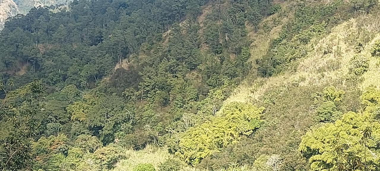 Ninth image of Guava Ridge Road St. Andr in Mavis Bank, St. Andrew, Jamaica - property is For Sale