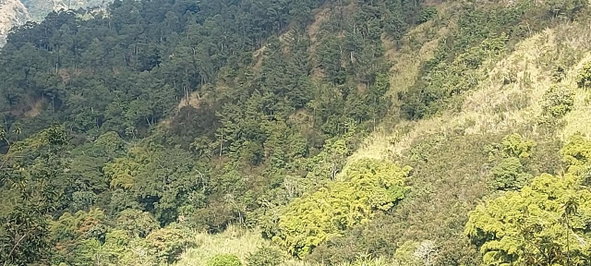 Ninth image of Guava Ridge Road St. Andr in Mavis Bank, St. Andrew, Jamaica - property is For Sale