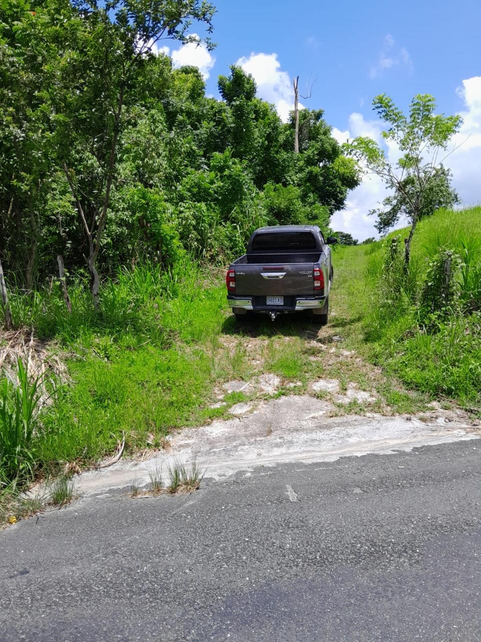 49-Acre-Development-Land-for-Sale-in-Seaford-Town-Jamaica Second image of Seaford Town in SEAFORD TOWN, Westmoreland, Jamaica - property is For Sale