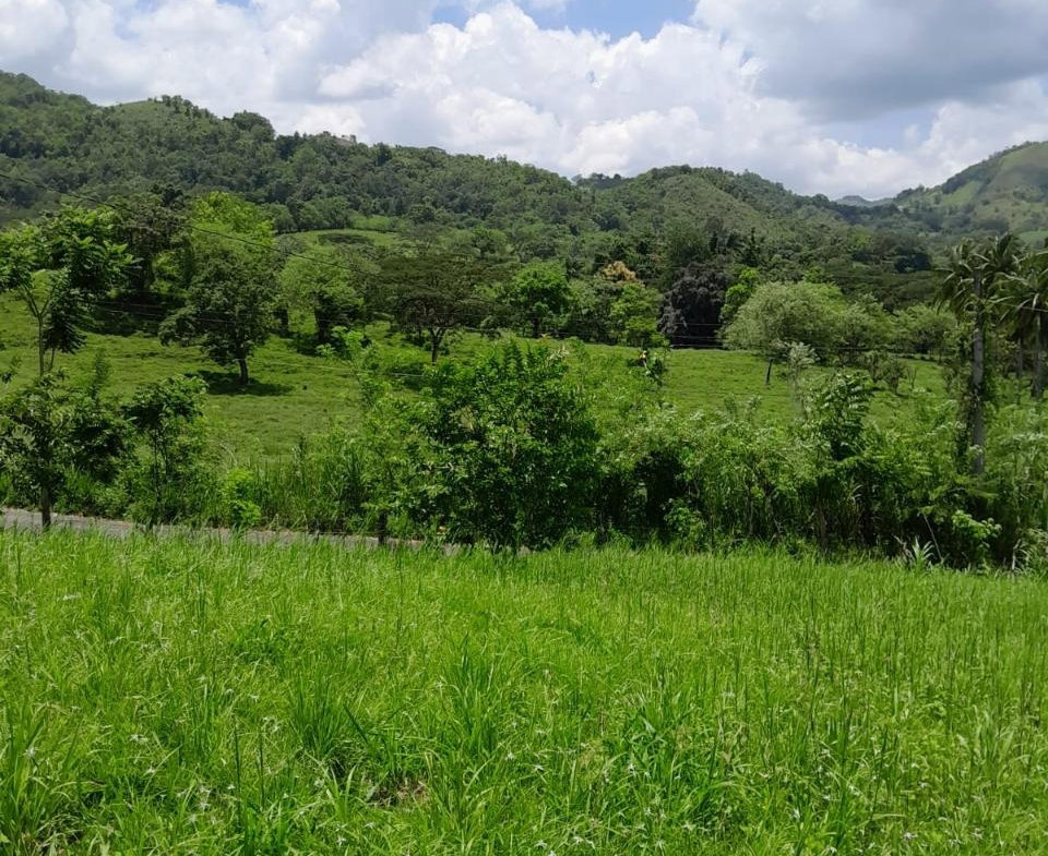 Eleventh image of Seaford Town in SEAFORD TOWN, Westmoreland, Jamaica - property is For Sale
