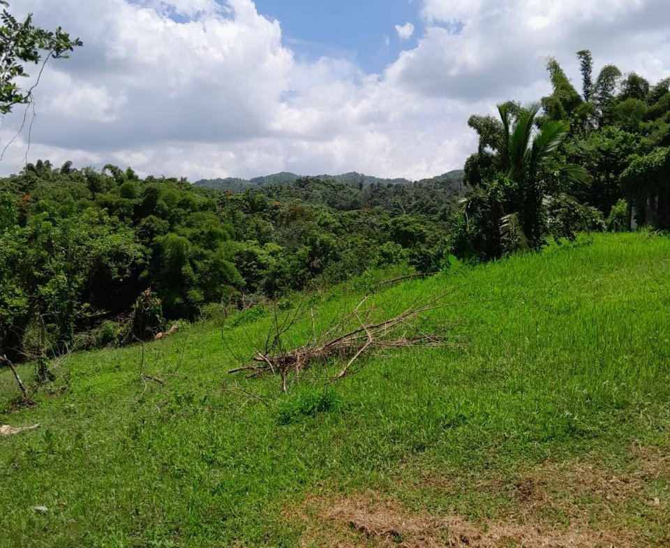 Twelfth image of Seaford Town in SEAFORD TOWN, Westmoreland, Jamaica - property is For Sale