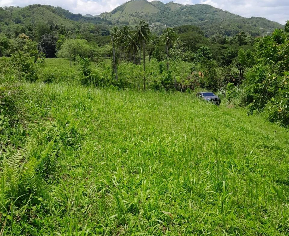 Thirteenth image of Seaford Town in SEAFORD TOWN, Westmoreland, Jamaica - property is For Sale