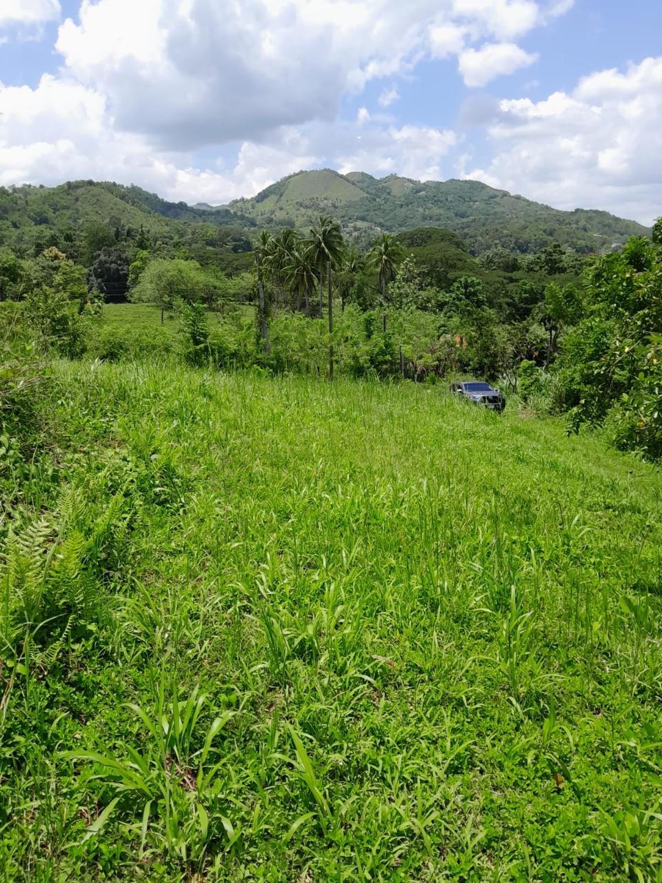 49-Acre-Development-Land-for-Sale-in-Seaford-Town-Jamaica Thirteenth image of Seaford Town in SEAFORD TOWN, Westmoreland, Jamaica - property is For Sale