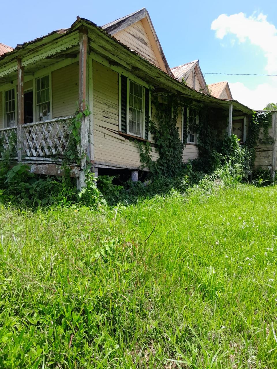 49-Acre-Development-Land-for-Sale-in-Seaford-Town-Jamaica Fourteenth image of Seaford Town in SEAFORD TOWN, Westmoreland, Jamaica - property is For Sale