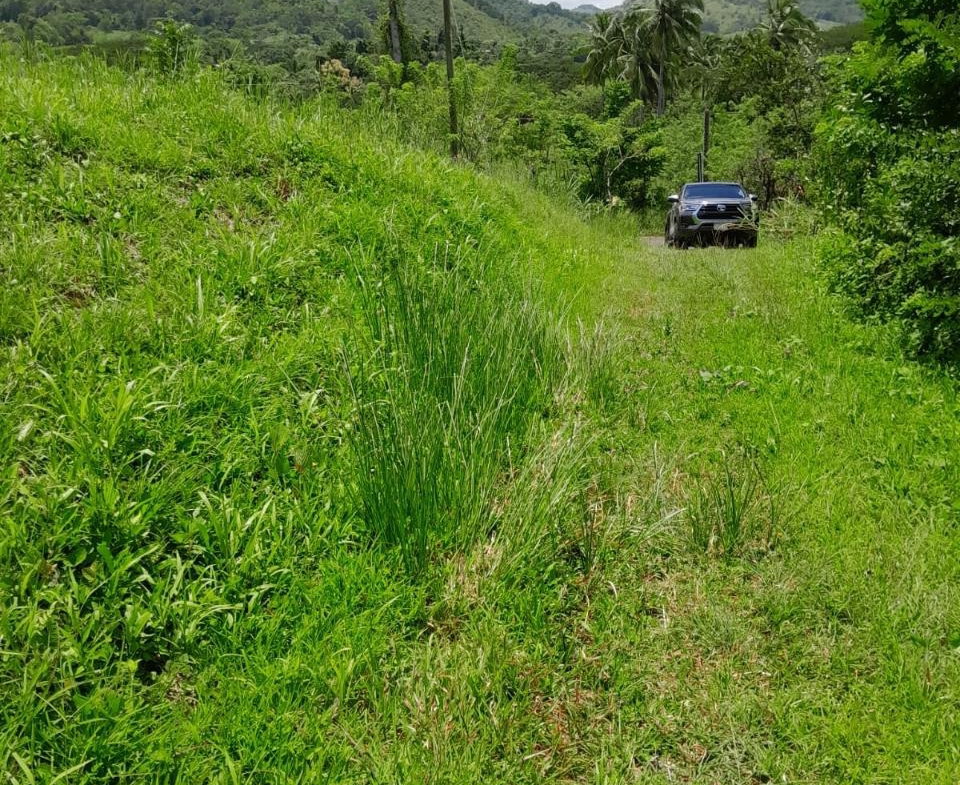 Fifteenth image of Seaford Town in SEAFORD TOWN, Westmoreland, Jamaica - property is For Sale