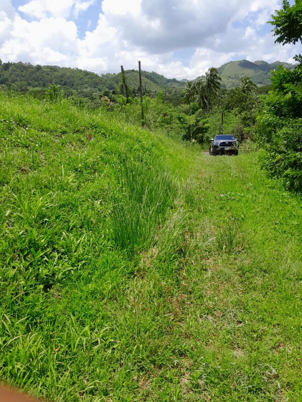 49-Acre-Development-Land-for-Sale-in-Seaford-Town-Jamaica Fifteenth image of Seaford Town in SEAFORD TOWN, Westmoreland, Jamaica - property is For Sale