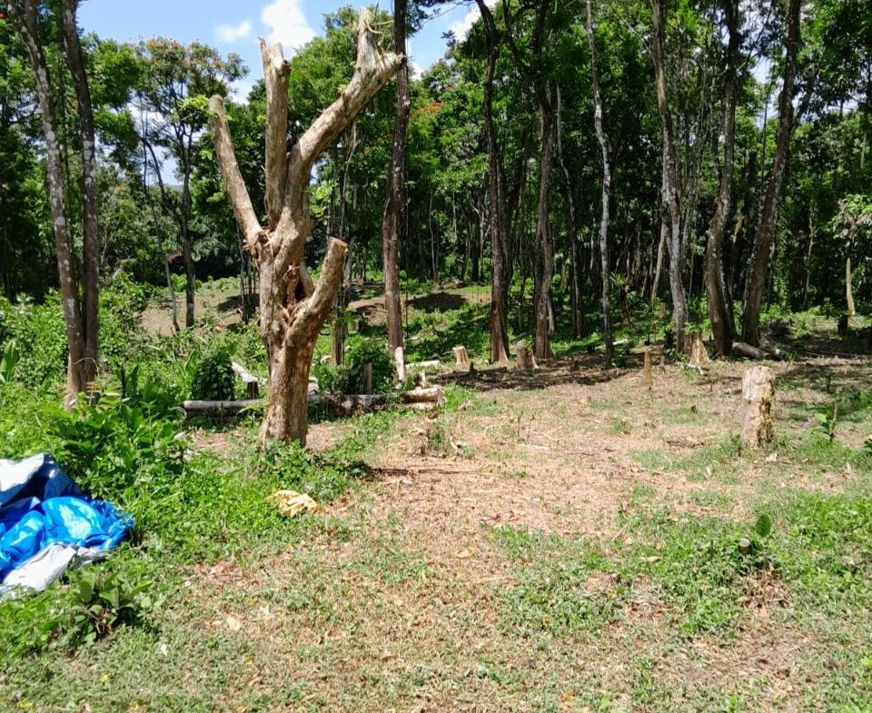 Sixteenth image of Seaford Town in SEAFORD TOWN, Westmoreland, Jamaica - property is For Sale