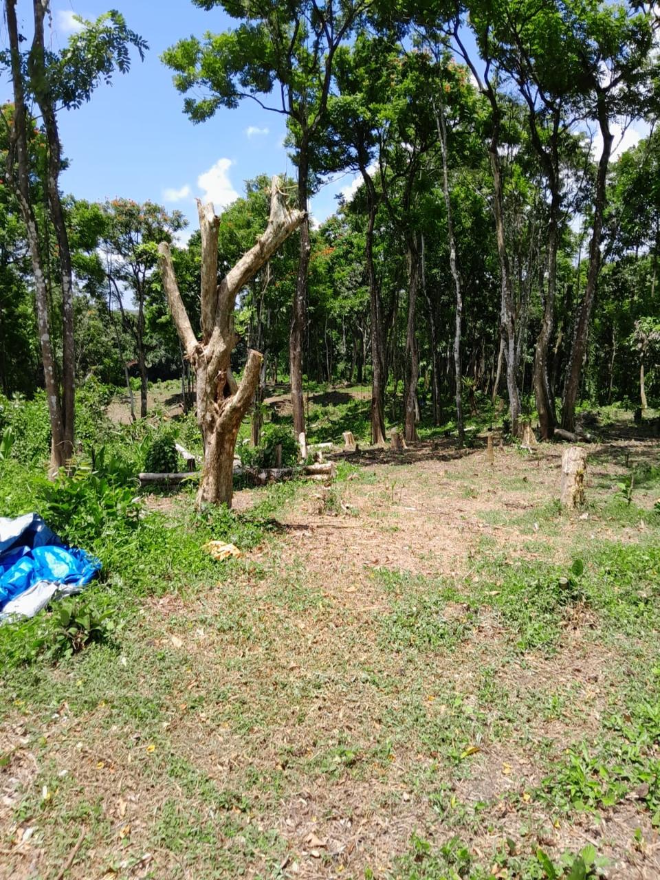 49-Acre-Development-Land-for-Sale-in-Seaford-Town-Jamaica Sixteenth image of Seaford Town in SEAFORD TOWN, Westmoreland, Jamaica - property is For Sale
