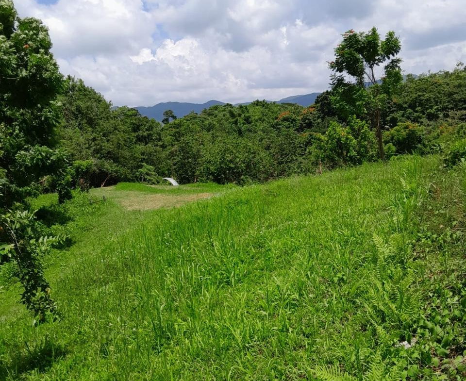 Seventeenth image of Seaford Town in SEAFORD TOWN, Westmoreland, Jamaica - property is For Sale